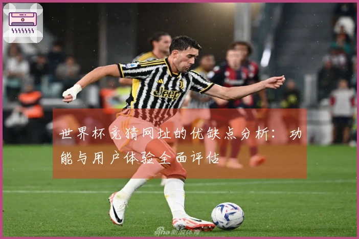世界杯竞猜网址的优缺点分析：功能与用户体验全面评估