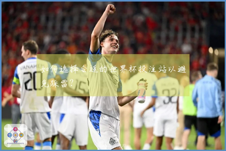 如何选择合适的世界杯投注站以避免踩雷？