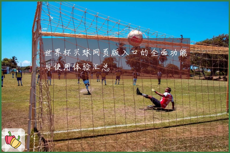 世界杯买球网页版入口的全面功能与使用体验汇总