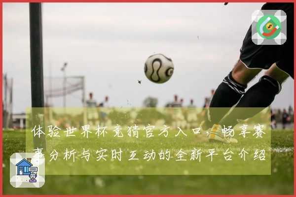 体验世界杯竞猜官方入口，畅享赛事分析与实时互动的全新平台介绍