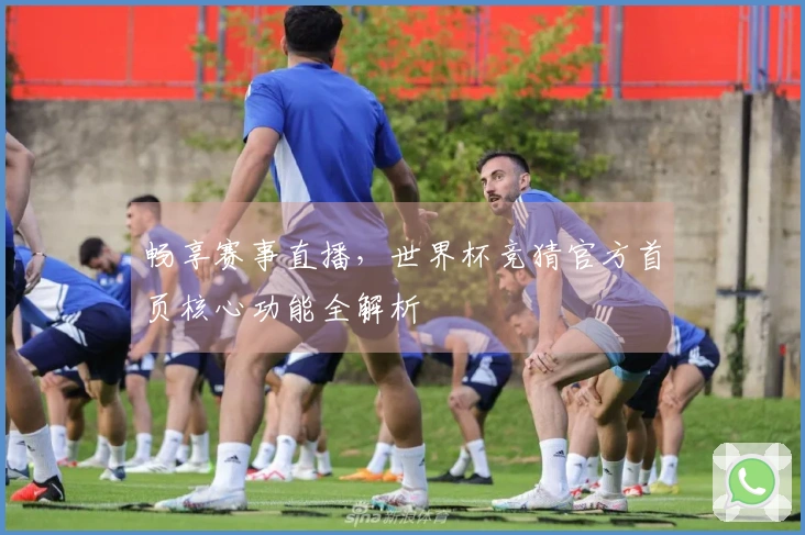 畅享赛事直播，世界杯竞猜官方首页核心功能全解析