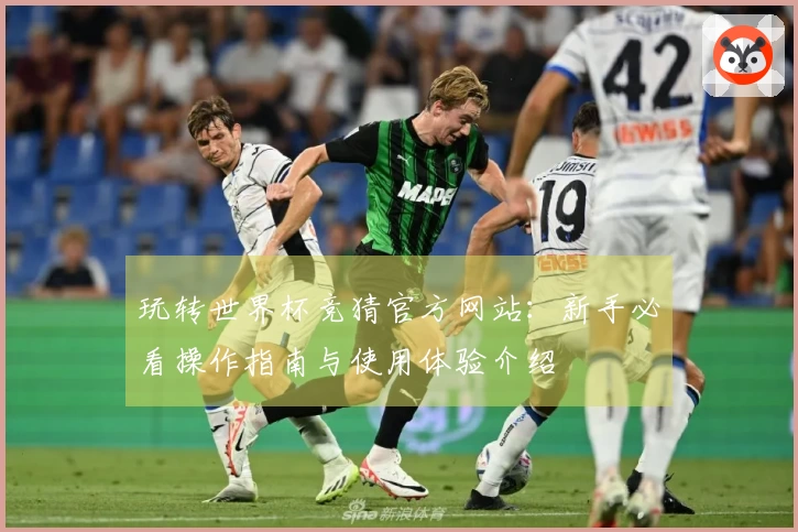 玩转世界杯竞猜官方网站：新手必看操作指南与使用体验介绍