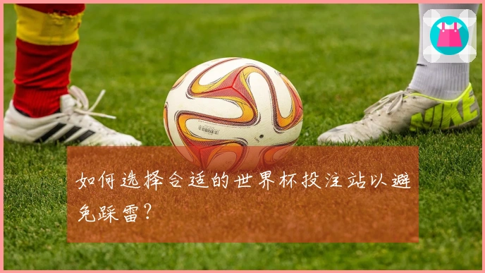如何选择合适的世界杯投注站以避免踩雷？
