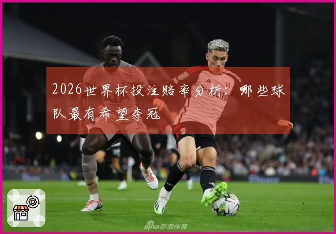 2026世界杯投注赔率分析：哪些球队最有希望夺冠