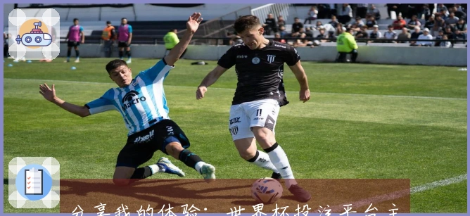 分享我的体验：世界杯投注平台主站入口的使用评测与功能介绍