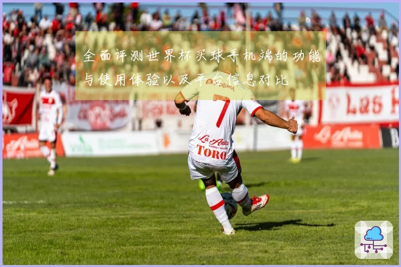 全面评测世界杯买球手机端的功能与使用体验以及平台信息对比