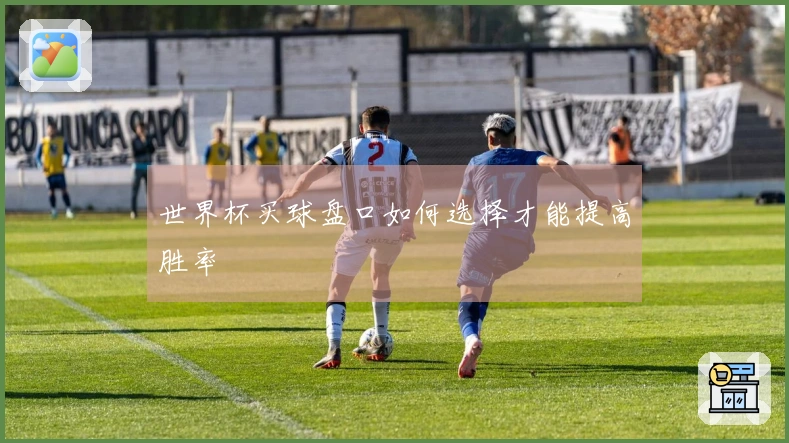 世界杯买球盘口如何选择才能提高胜率