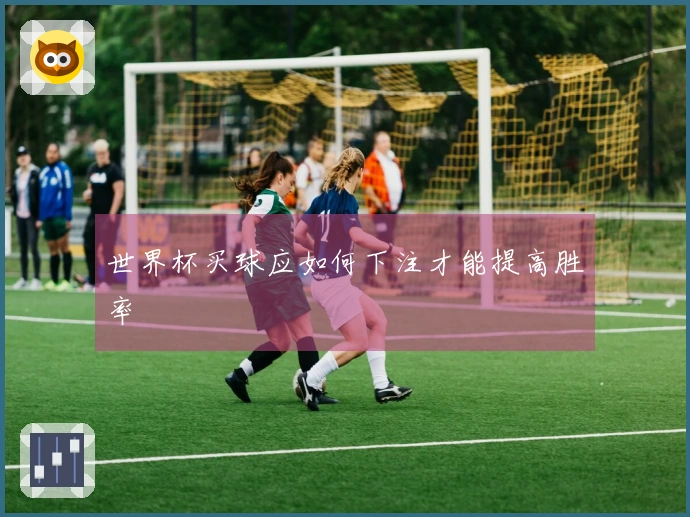 世界杯买球应如何下注才能提高胜率