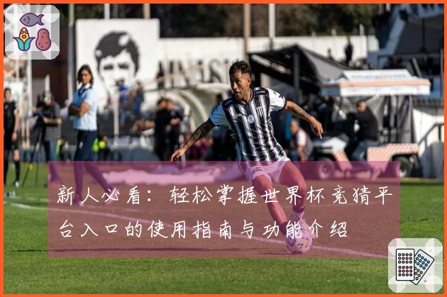新人必看：轻松掌握世界杯竞猜平台入口的使用指南与功能介绍