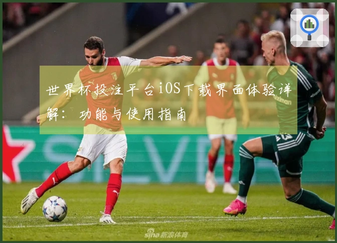 世界杯投注平台iOS下载界面体验详解：功能与使用指南
