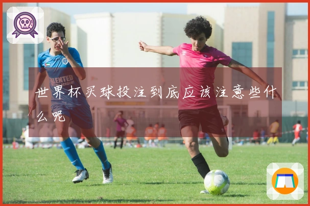 世界杯买球投注到底应该注意些什么呢