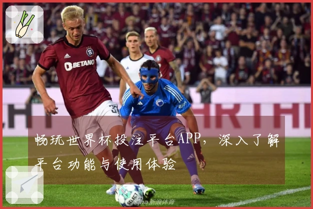 畅玩世界杯投注平台APP，深入了解平台功能与使用体验