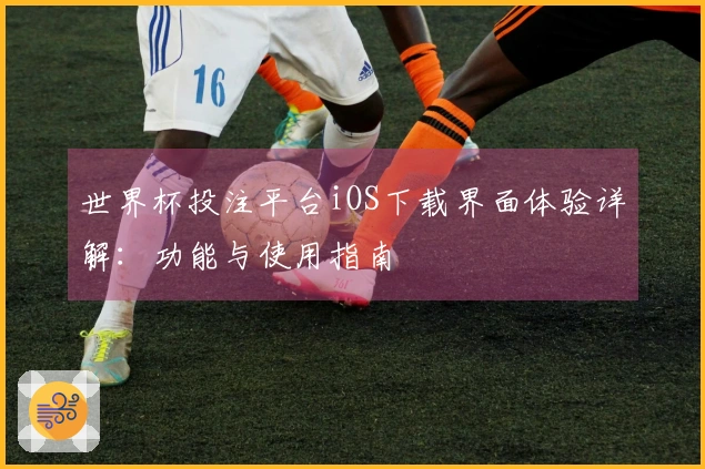 世界杯投注平台iOS下载界面体验详解：功能与使用指南
